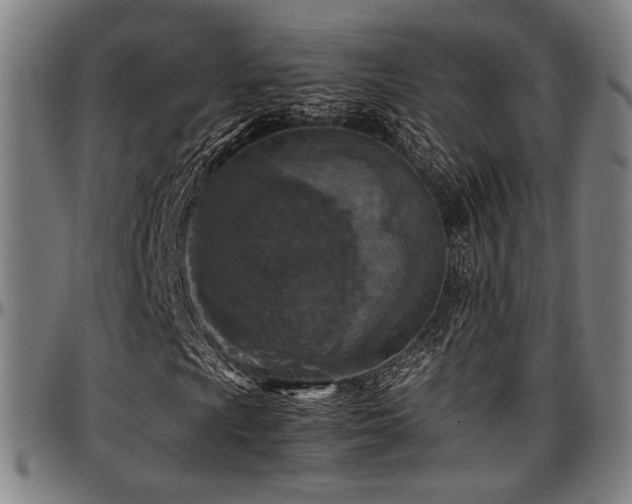 X0000097601009200802291238