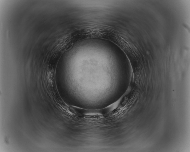X0000097601010200802291238