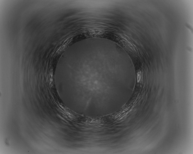 X0000097601011200802291238