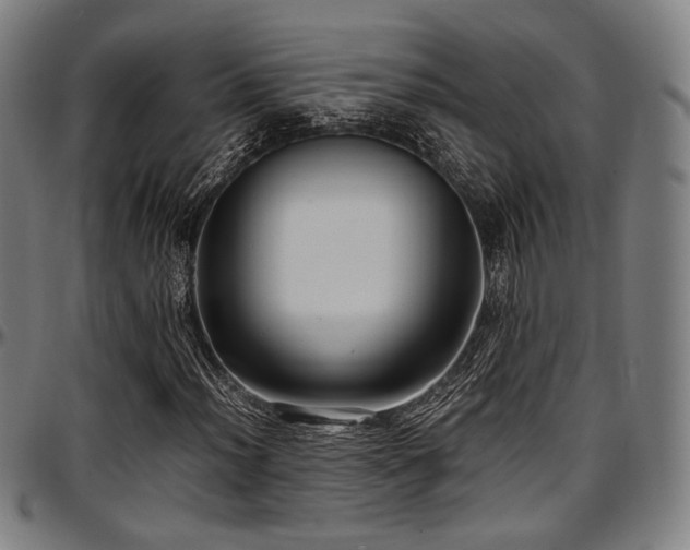 X0000097601012200802291238