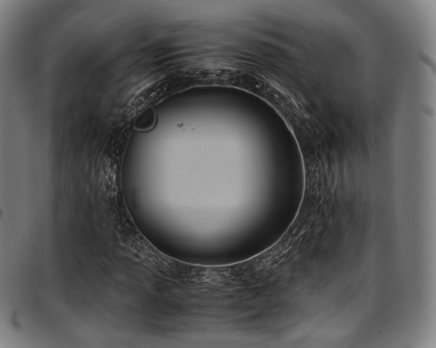X0000097601013200802291238