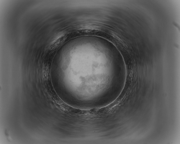 X0000097601014200802291238