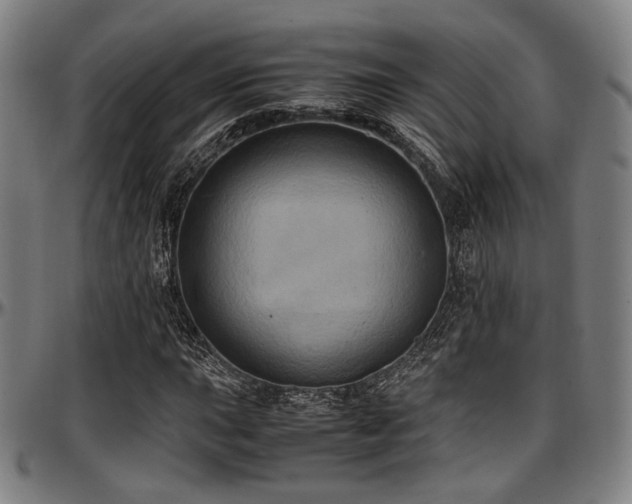 X0000097601015200802291238