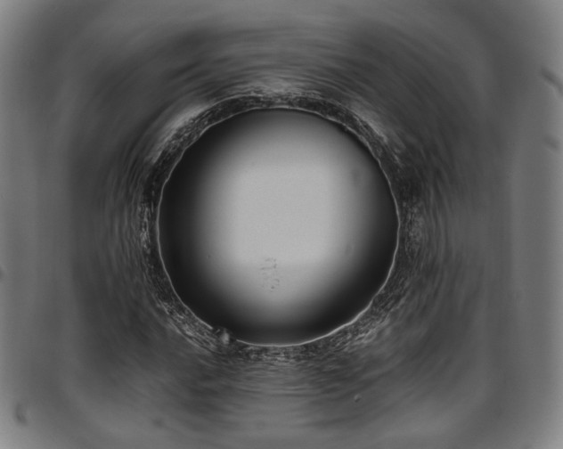 X0000097601016200802291238