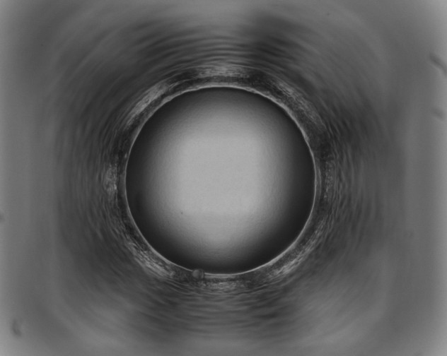 X0000097601017200802291238