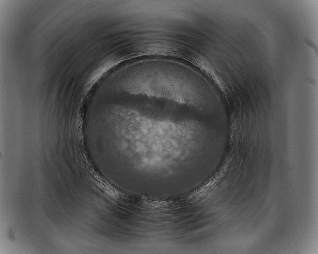 X0000097601019200802291238
