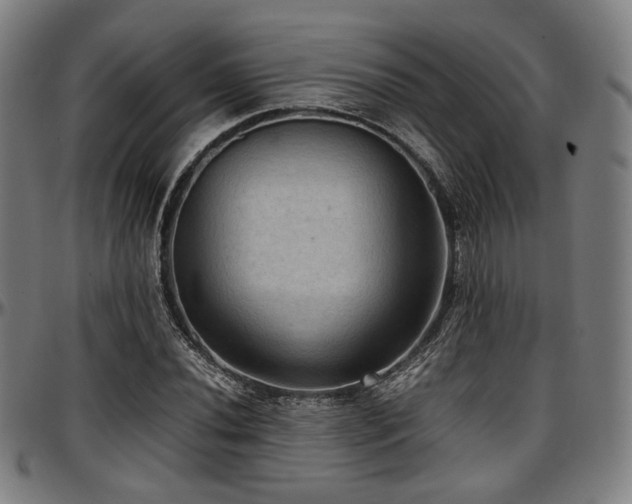 X0000097601020200802291238
