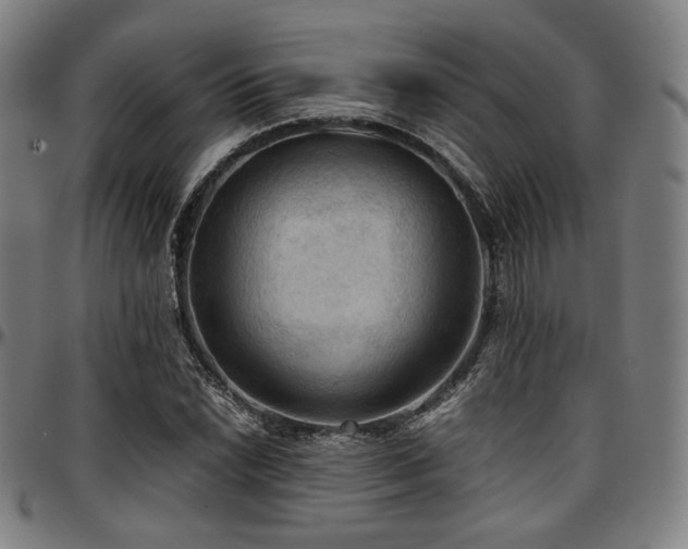 X0000097601022200802291238