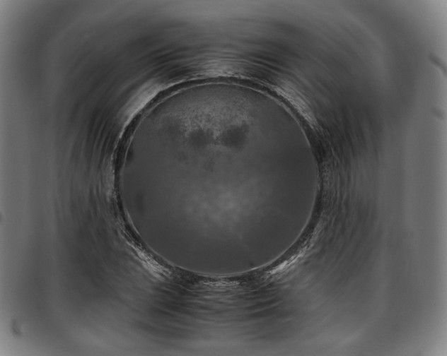 X0000097601023200802291238