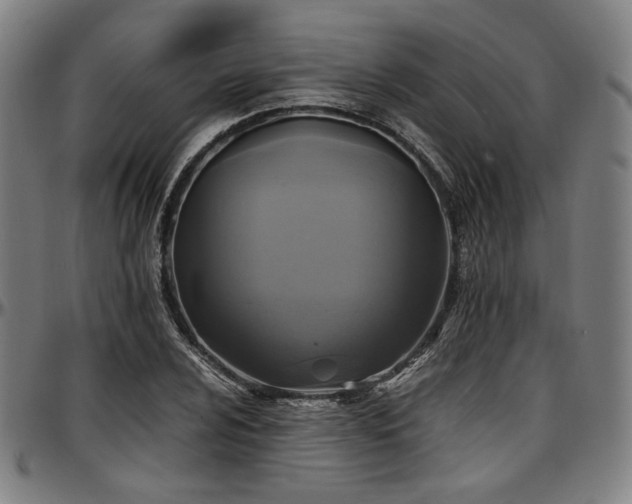 X0000097601024200802291238