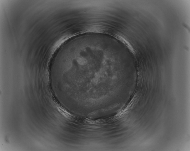 X0000097601027200802291238