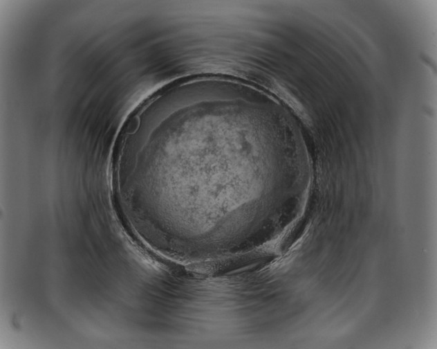 X0000097601028200802291238