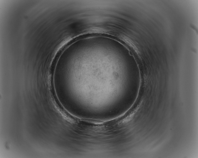 X0000097601029200802291238