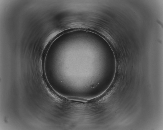X0000097601030200802291238