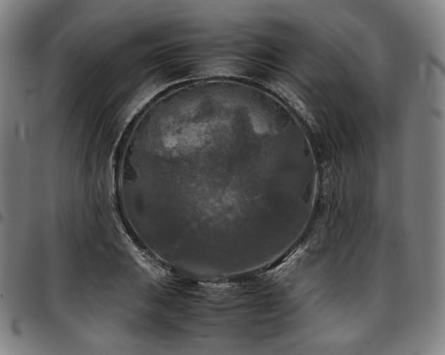 X0000097601031200802291238