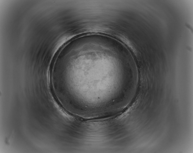 X0000097601032200802291238