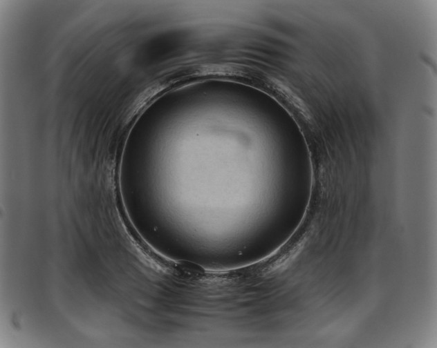 X0000097601033200802291238