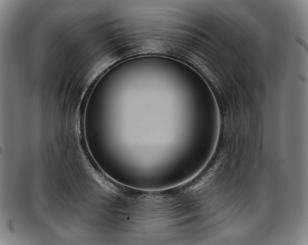 X0000097601034200802291238