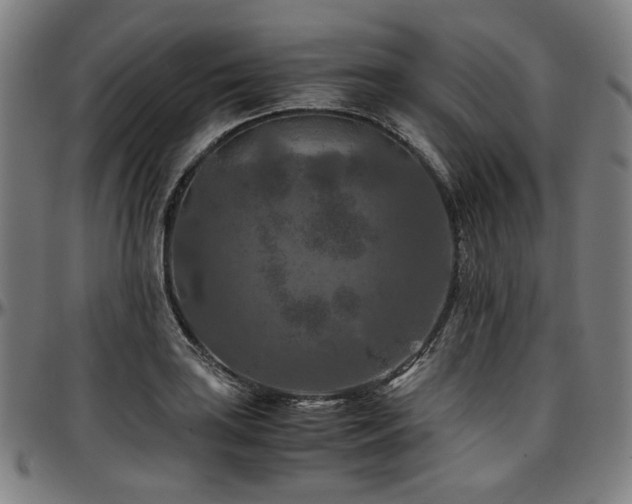X0000097601035200802291238
