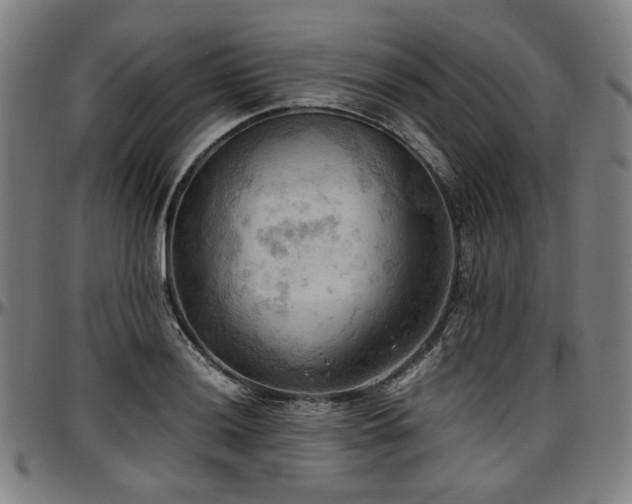 X0000097601036200802291238
