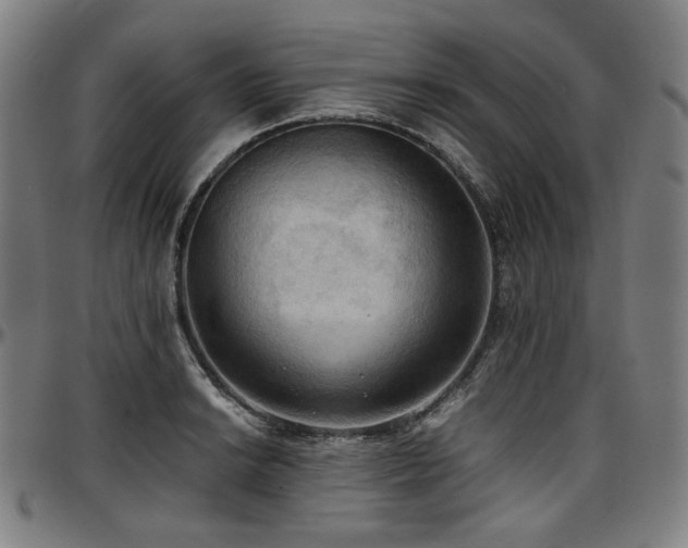 X0000097601038200802291238