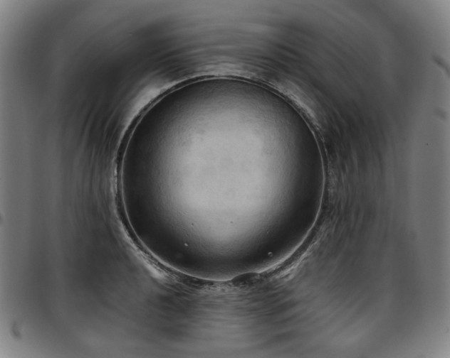 X0000097601040200802291238