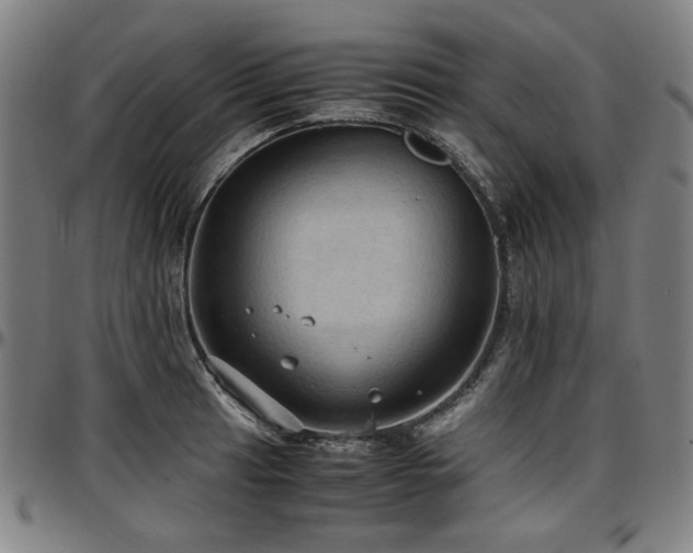 X0000097601041200802291238