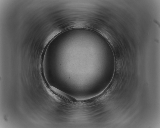 X0000097601042200802291238