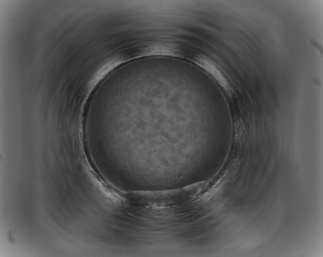 X0000097601043200802291238