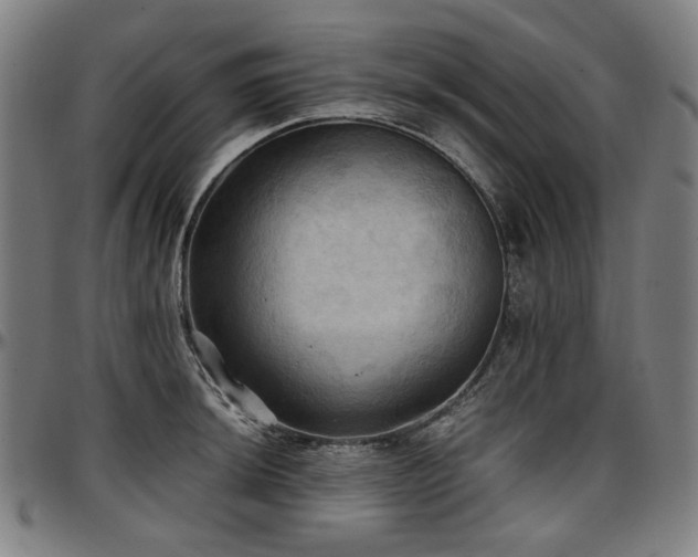 X0000097601044200802291238