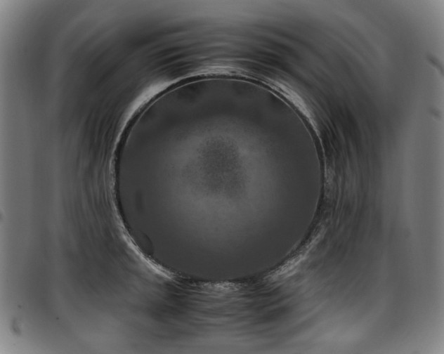 X0000097601045200802291238