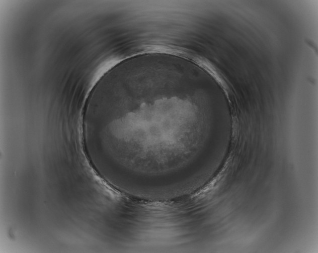 X0000097601048200802291239