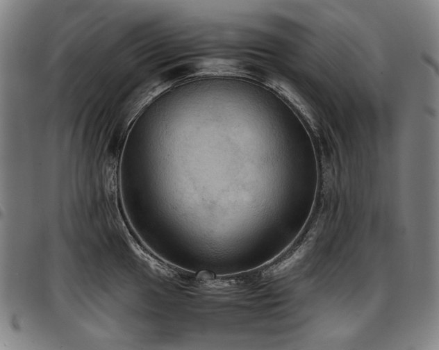 X0000097601049200802291239