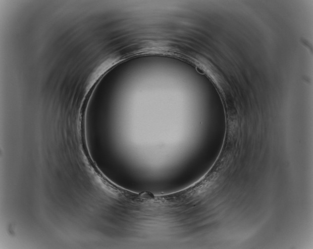 X0000097601050200802291239