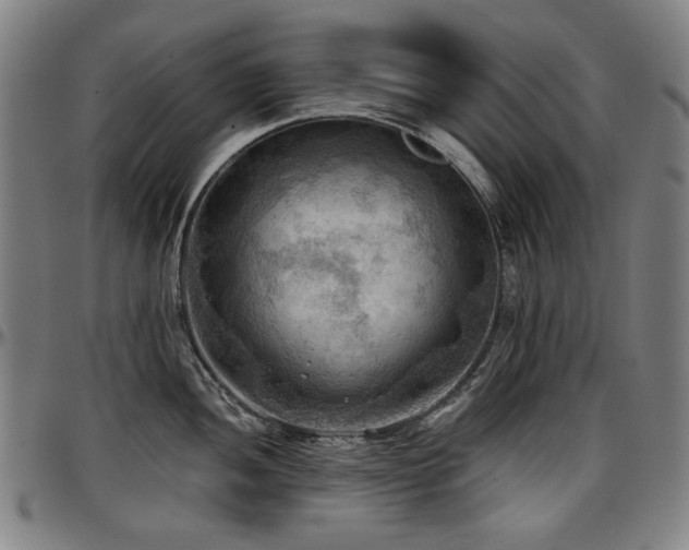X0000097601052200802291239