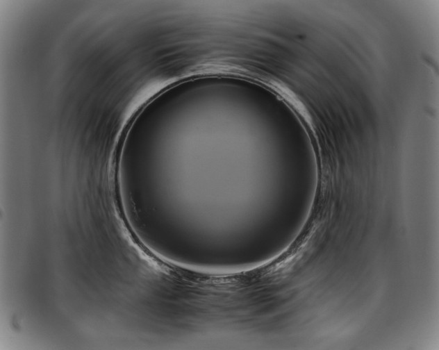 X0000097601053200802291239