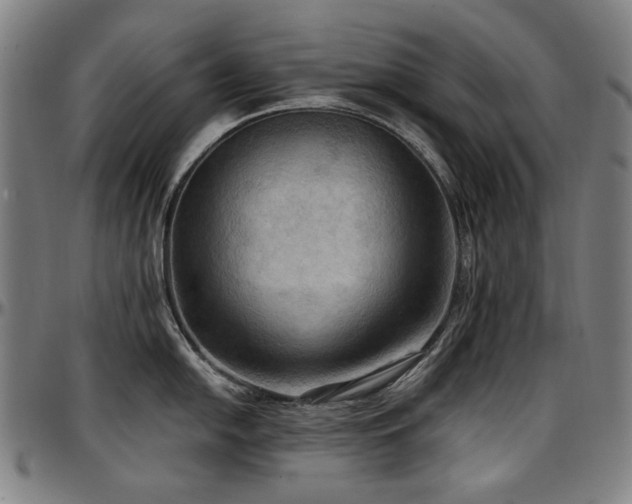 X0000097601054200802291239