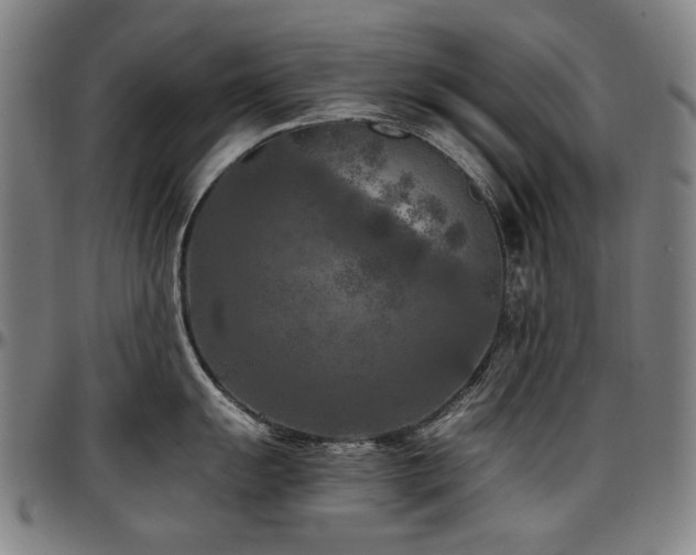X0000097601055200802291239