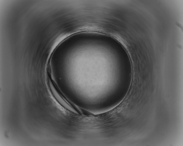 X0000097601056200802291239