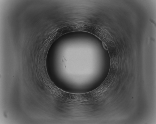 X0000097601057200802291238