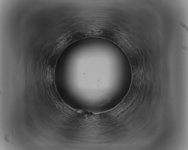 X0000097601058200802291238