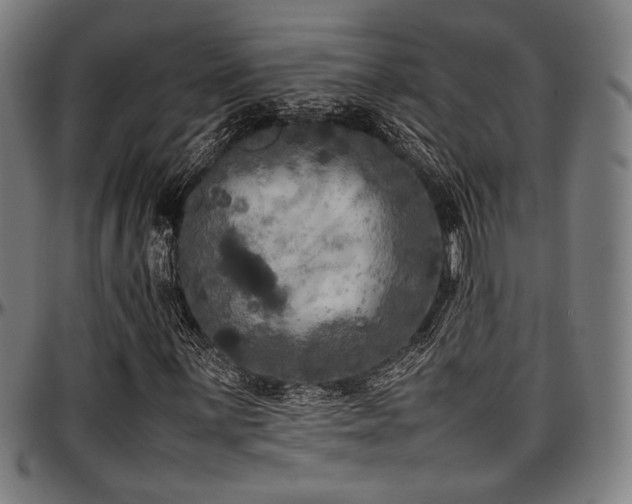 X0000097601059200802291238