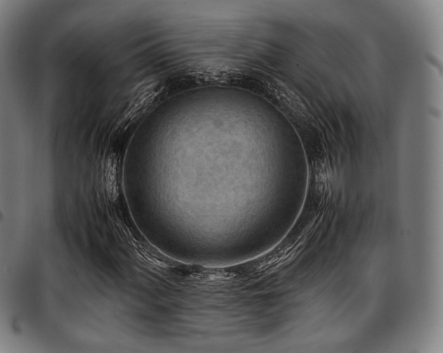 X0000097601060200802291238