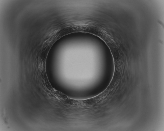 X0000097601061200802291238