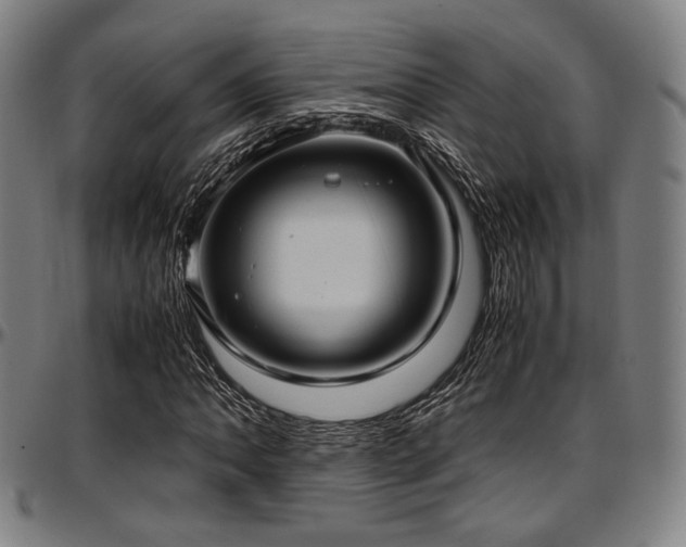 X0000097601062200802291238