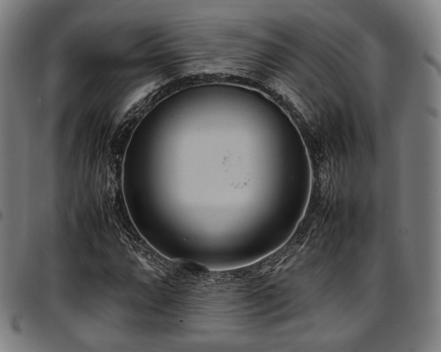 X0000097601064200802291238