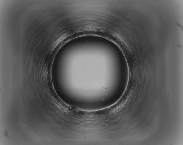 X0000097601065200802291238