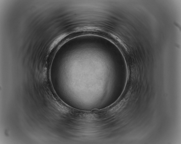 X0000097601066200802291238