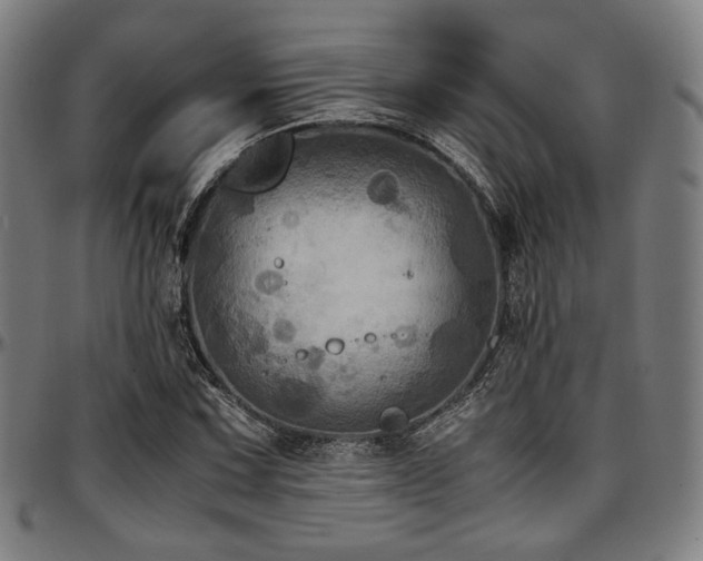 X0000097601067200802291238