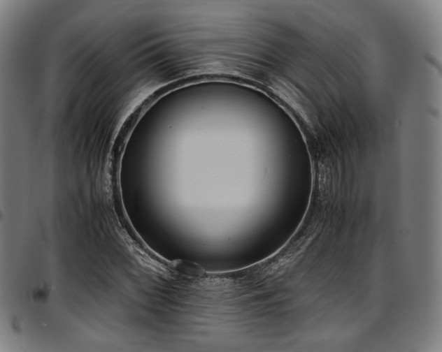 X0000097601068200802291238